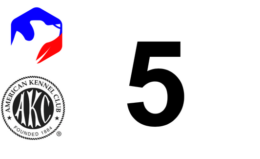 Armband Numbers