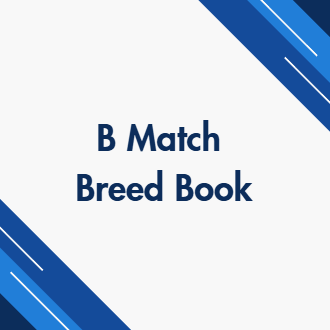 AKC Sanctioned B Match Single Breed Judges Book (Carbon Paper)